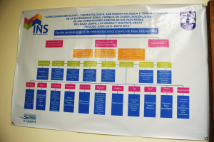 Caracterización clínica, fisiopatológica, anatomopatológica y tóxico-epidemiológica de la enfermedad renal crónica de causa desconocida de las comunidades agrícolas salvadoreñas del Bajo Lempa, las Brisas y Guayapa Abajo. Periodo junio 2012- mayo 2013.