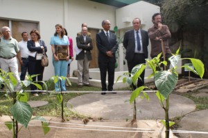 En el acto también se inauguró un huerto familiar demostrativo en las instalaciones de La Casa Tomada del CCESV en el cual se plantaron tomates, cebollas, pepino, cebollín, guineos de seda y algunas hierbas aromáticas como menta, albahaca, comino y otros. Un huerto en torno al cual se realizarán varias actividades en 2014 a cargo del CCESV.