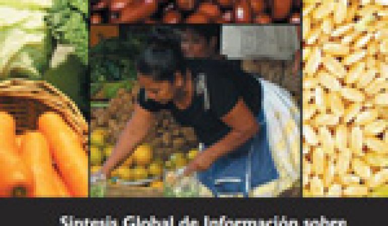 Síntesis Global de Información sobre Seguridad Alimentaria y Nutricional