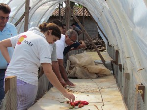 La responsable de Programas de Seguridad Alimentaria de la AECID en El Salvador, Natalia Otamendi, junto al representante de la FAO visitaron Morazán y la producción de las familias participantes en el PESA.