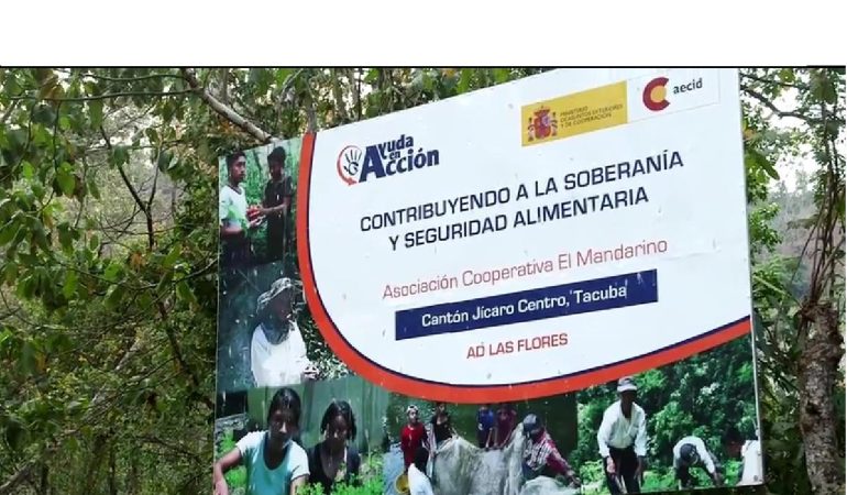 Video: Testimonios Cooperativa El Mandarino, en Tacuba, Ahuachapán.