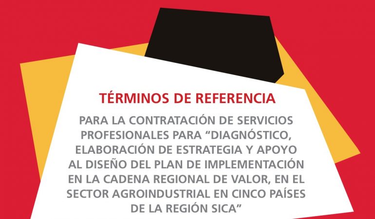 Términos de referencia para programa del SICA