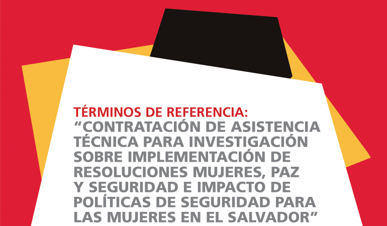 TDR investigación sobre la seguridad ciudadana de las mujeres