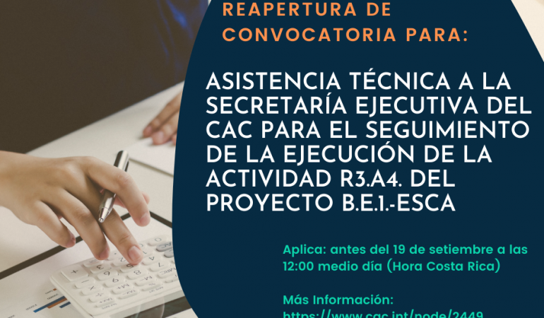 Asistencia técnica a la SE-CAC para el seguimiento de la ejecución del Fondo MIPYME y las demás actividades que se deriven de la ejecución de la Actividad R3.A4.