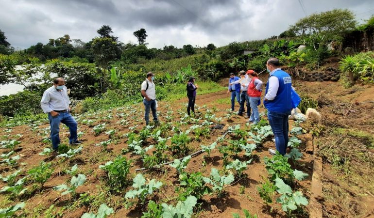 Visita al Proyecto «Reactivación de la actividad agrícola durante y post contexto COVID-19»